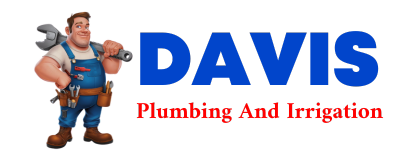 Trusted plumber in SONTAG